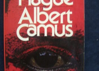 The theme of the search for meaning in The Plague