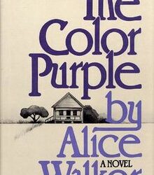 Alice Walker concept identity in The Color Purple