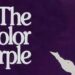 Use the concept of sisterhood in The Color Purple
