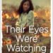 Concept of identity in Their Eyes Were Watching God