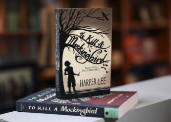 Discuss the theme of social injustice in To Kill a Mockingbird