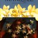 Of Love and Other Demons Novel Summary by Márquez