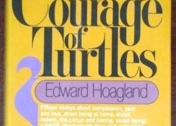 The Courage of Turtles Essay By Edward Hoagland