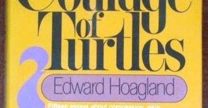 The Courage of Turtles Essay By Edward Hoagland