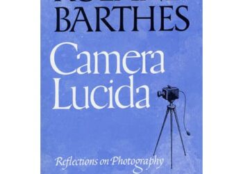 Camera Lucida Reflections on Photography Essay