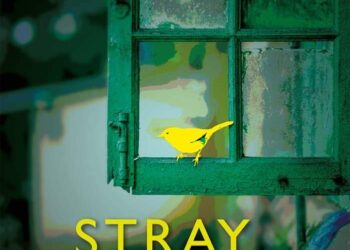 Stray Birds Poem Summary by Rabindranath Tagore