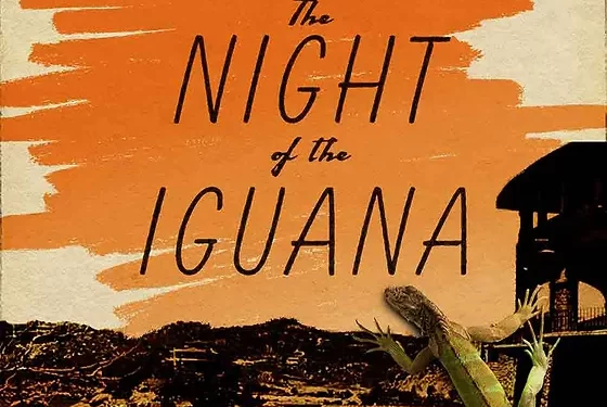 Much Ado About Nothing And The Night of the Iguana