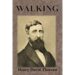 Walking Essays Summary By Henry David Thoreau