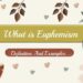 What is Euphemism Definition And Examples