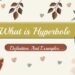 What is Hyperbole Definition And Example