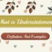 What is Understatement Definition And Examples