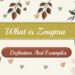 What is Zeugma Definition And Examples