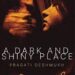 A Dark and Shiny Place by Pragati Deshmukh