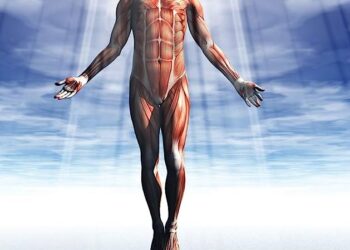 The Book of Life by Robert Collier