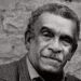 Relationship between history and language in Derek Walcott’s poetry