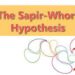 Examine the salient features of the Sapir-Whorf hypotheses