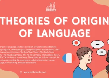 The Theories on the origin of language