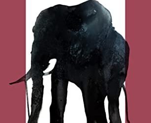 Describe Orwell’s experience of shooting an elephant in Burma in detail