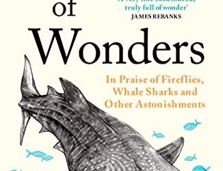 I Could Be a Whale Shark Poem summary line by line