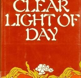 What is the summary of clear light of day