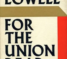 For the Union Dead line by line analysis