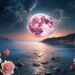 The moon rose over the bay Poem summary line by line