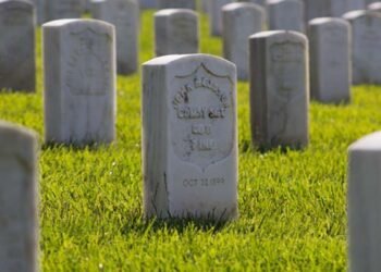 Discuss some critical assumptions about the epitaph of the Elegy