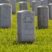 Discuss some critical assumptions about the epitaph of the Elegy