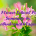 Summary of the Flower-School Poem by Rabindranath Tagore