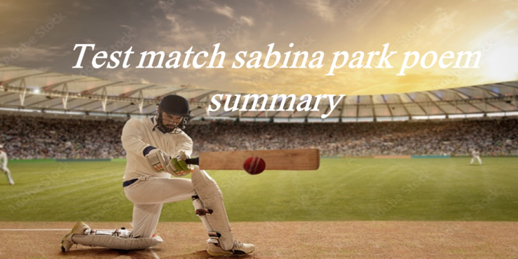 Test match sabina park poem summary and analysis