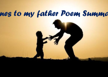 What is the Summary of the poem lines to my father