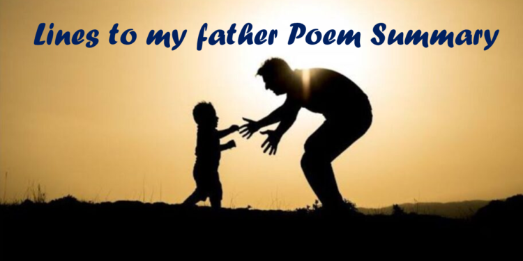 What is the Summary of the poem lines to my father