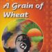 A Grain of Wheat by Ngugi wa Thiong'o Plot Summary