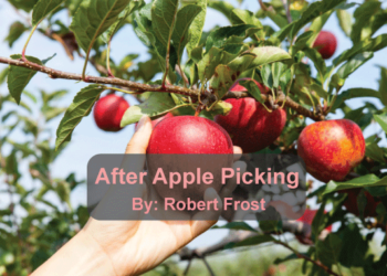 After apple picking poem summary line by line in english