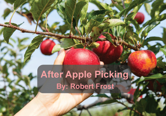 After apple picking poem summary line by line in english