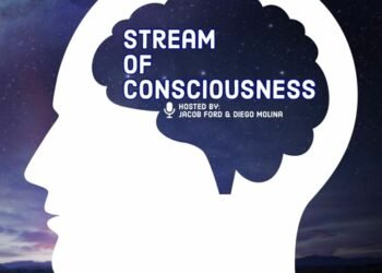 What do you understand by the stream of consciousness novel and explain with reference to The Binding Vine