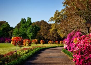 Consider The Garden by Andrew Marvell as a didactic poem