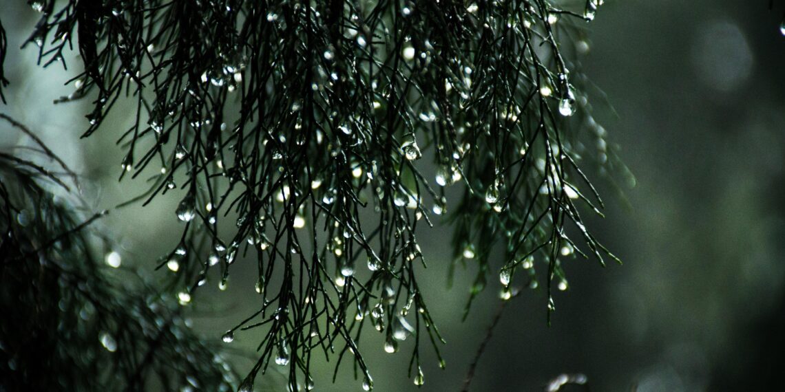 Summary of Rain Poem By Robert Louis Stevenson