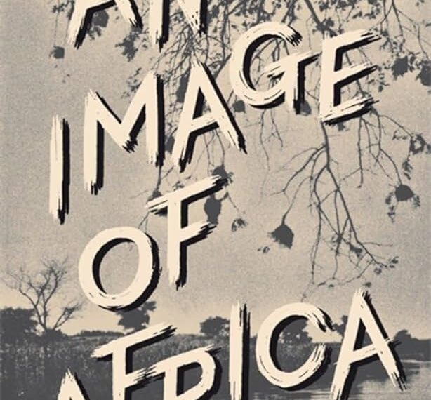 An Image of Africa Novel Summary and Themes