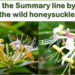 What is the Summary line by line of the wild honeysuckle