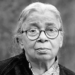 Salt by Mahasweta Devi Summary and Theme