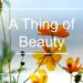 A Thing of Beauty MCQs with Answers PDF Free -1 Mark