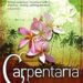 Carpentaria by Alexis Wright Summary and Themes