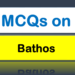 MCQs on Bathos
