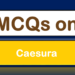 MCQs on Caesura