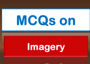 MCQs on Imagery