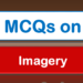 MCQs on Imagery