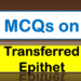 MCQs on Transferred Epithet