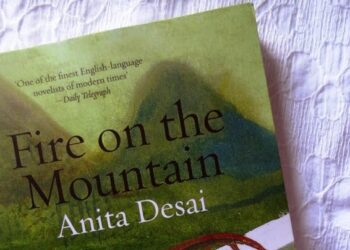 Fire On The Mountain Summary With Themes By Anita Desai