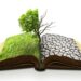 creative concept landscape image of global warming, natural weather disaster problem